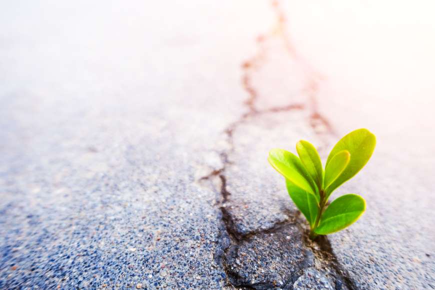 resiliency-well-being