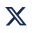 x_icon